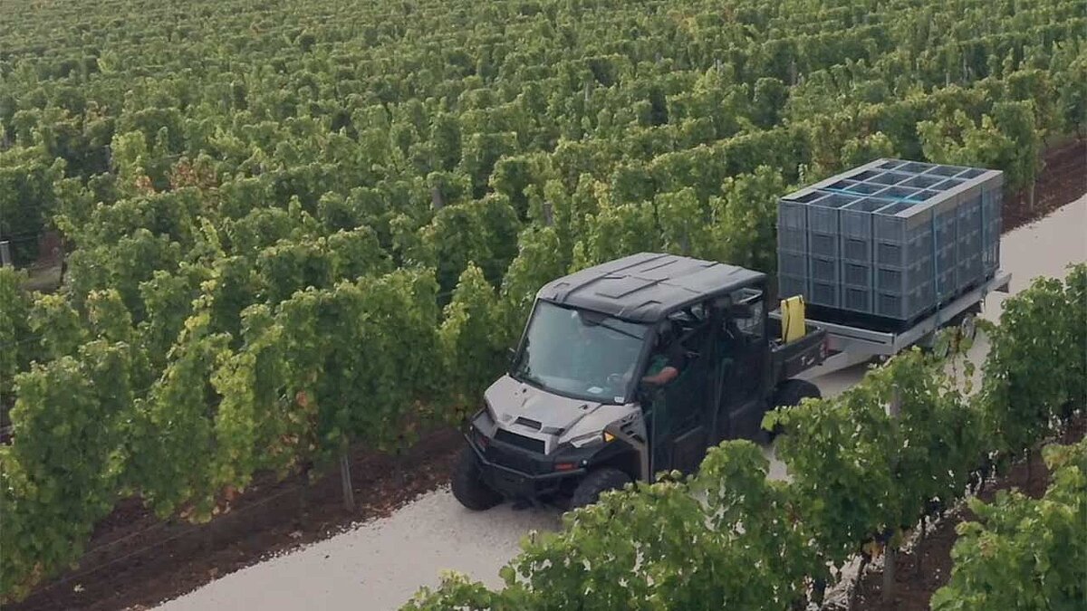 Der Ranger von Polaris im Weinlese-Einsatz.